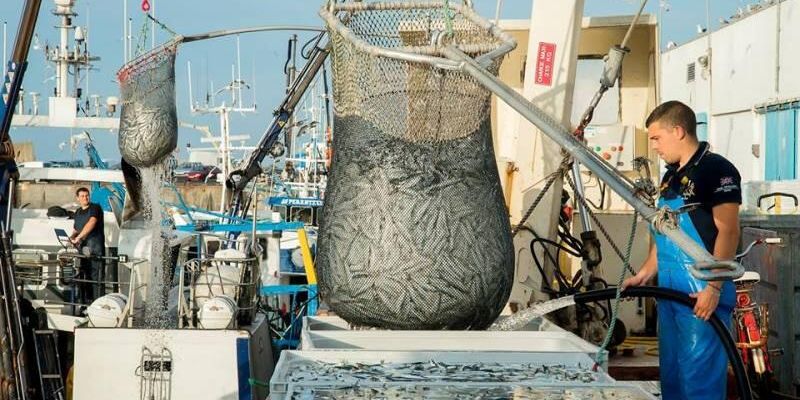 Saint-Guénolé Fish Port